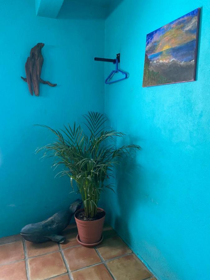 مبيت وإفطار El Centenario Casa Xochitl المظهر الخارجي الصورة