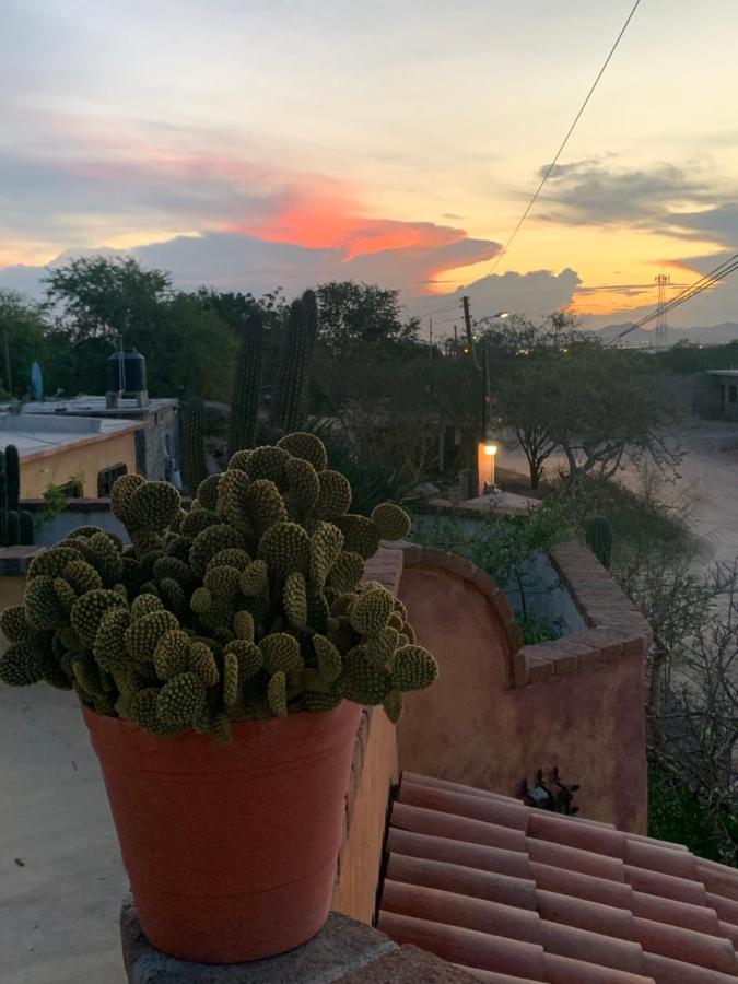 مبيت وإفطار El Centenario Casa Xochitl المظهر الخارجي الصورة